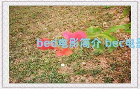 bed电影简介 bec电影